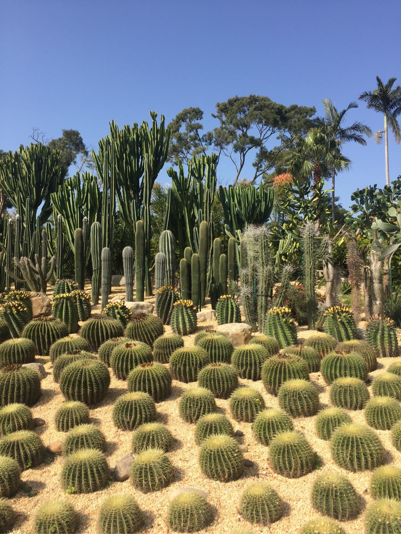 厦门有那些可以推荐旅游的地方,包括住宿? - J