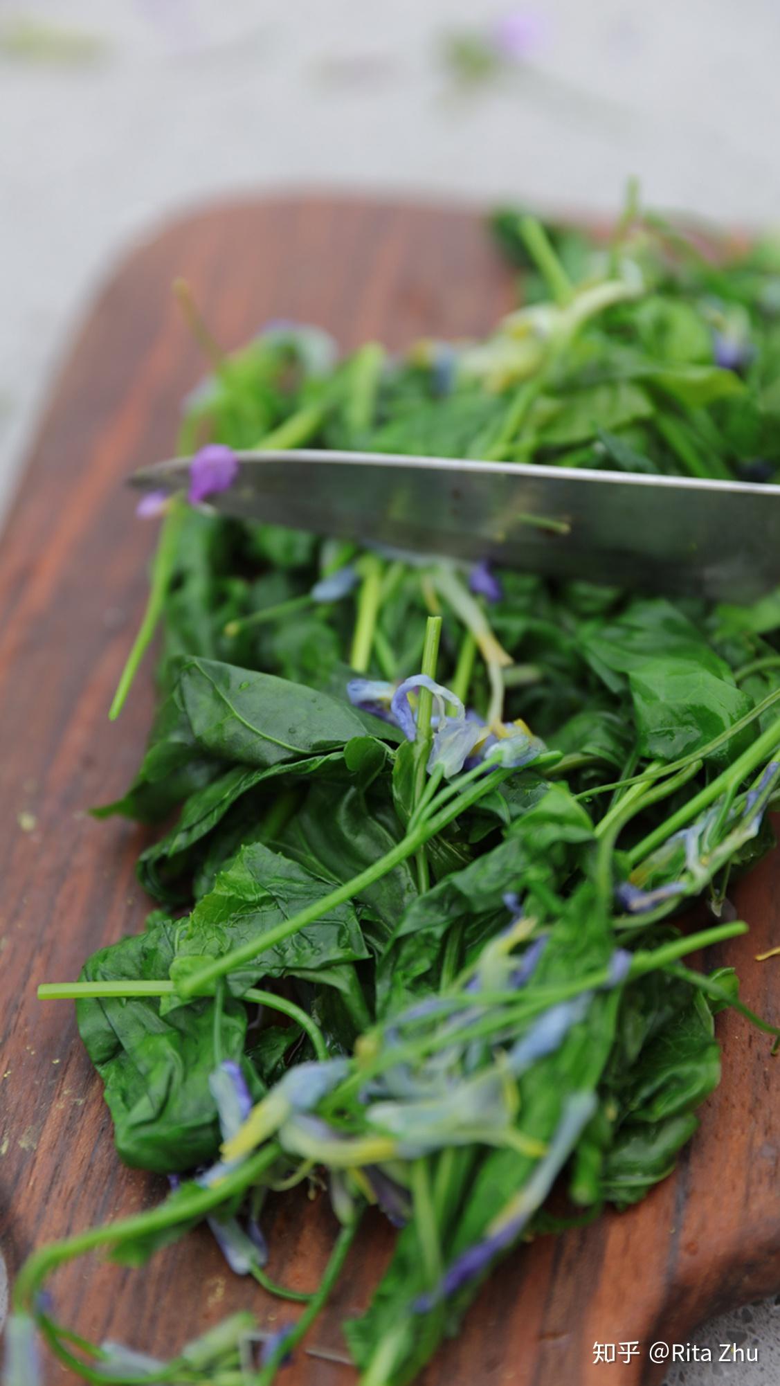 食用花卉食谱二月兰明明是个很优雅的名字为什么偏偏还有个名字叫