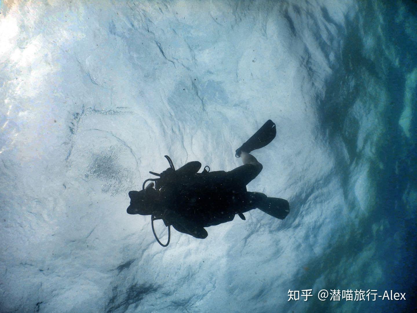 中国潜水运动协会_360百科