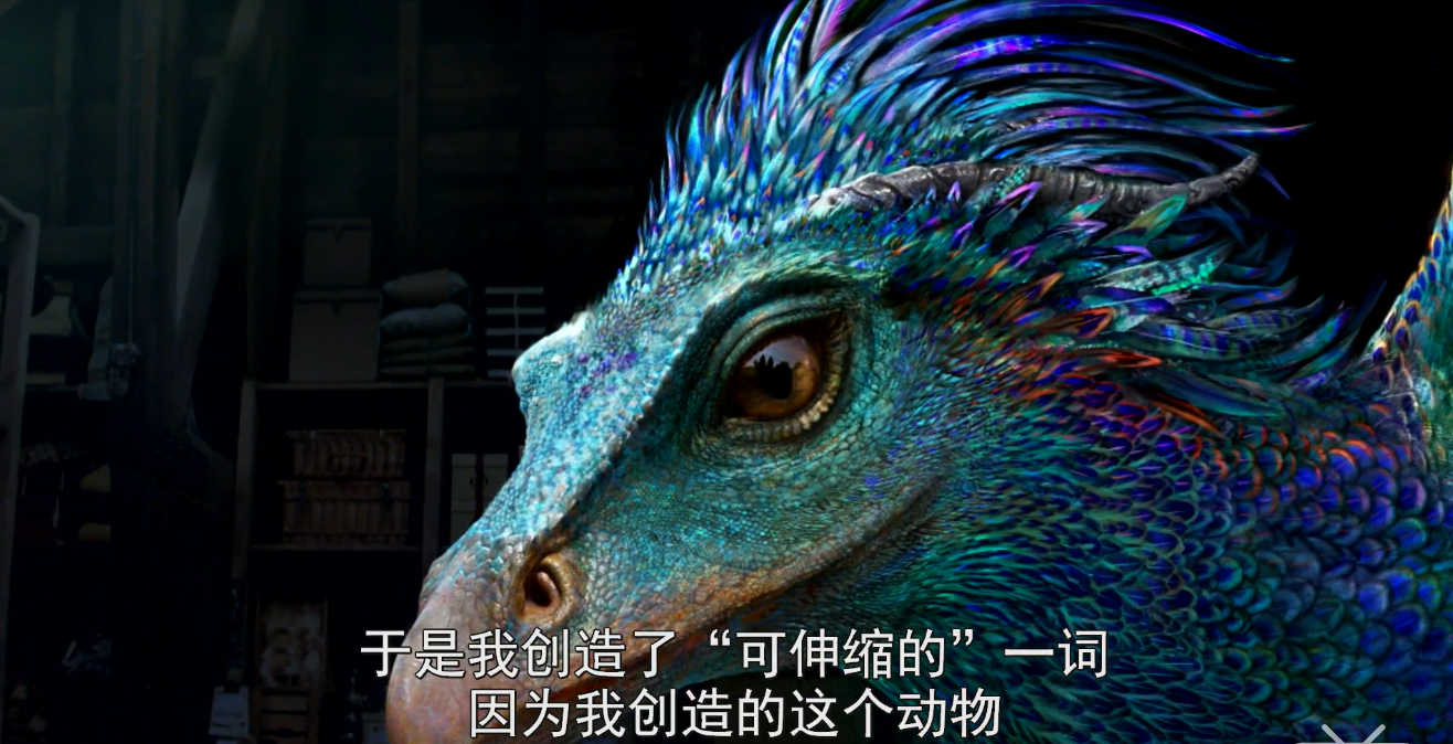 hp神奇动物在哪里记录片细节十二毒角兽鸟蛇