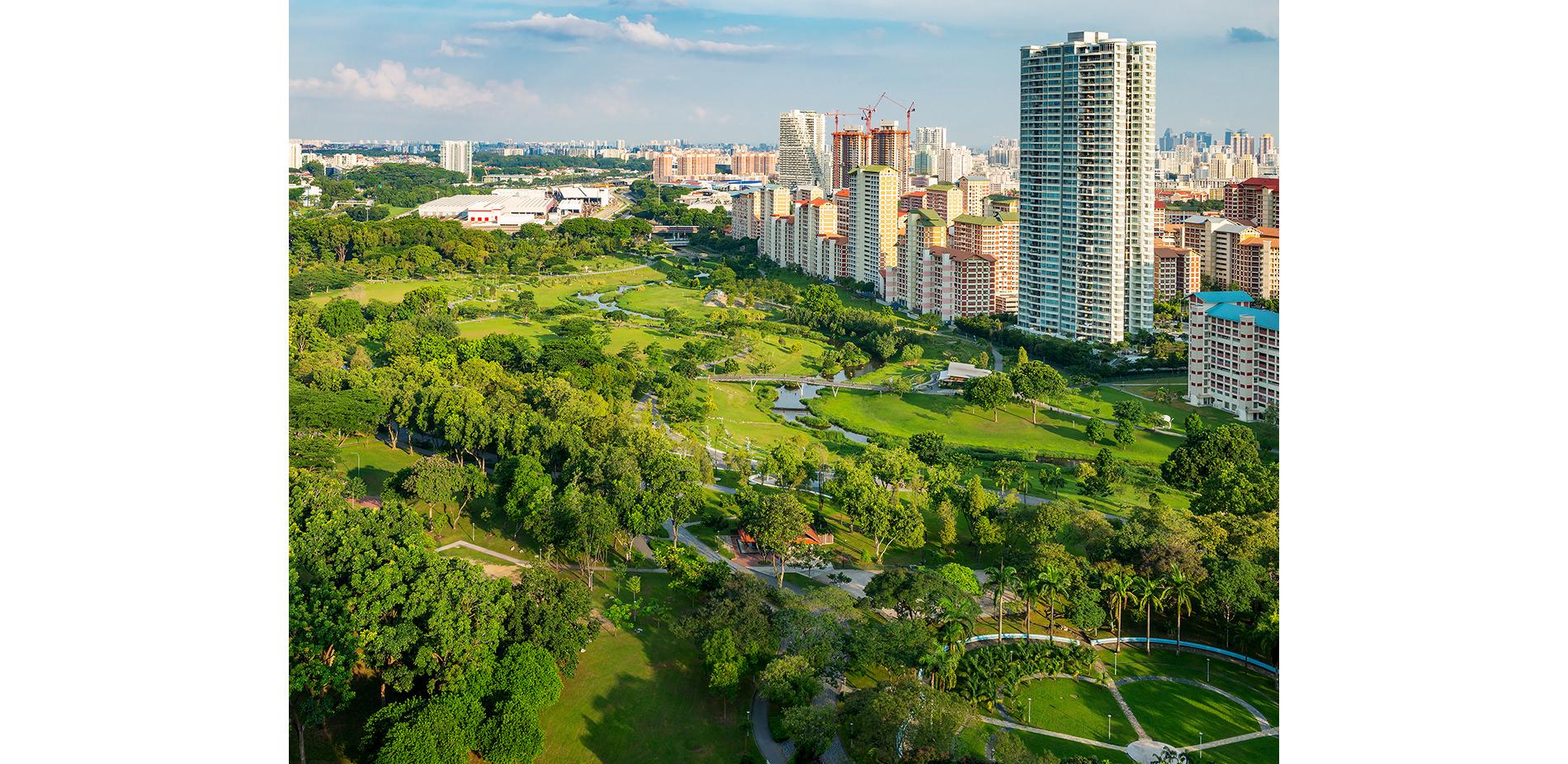 bishan-ang mo kio park 碧山——宏茂桥公园