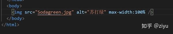 HTML html