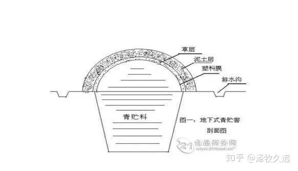 养牛如何计算设计青贮窖附设计图