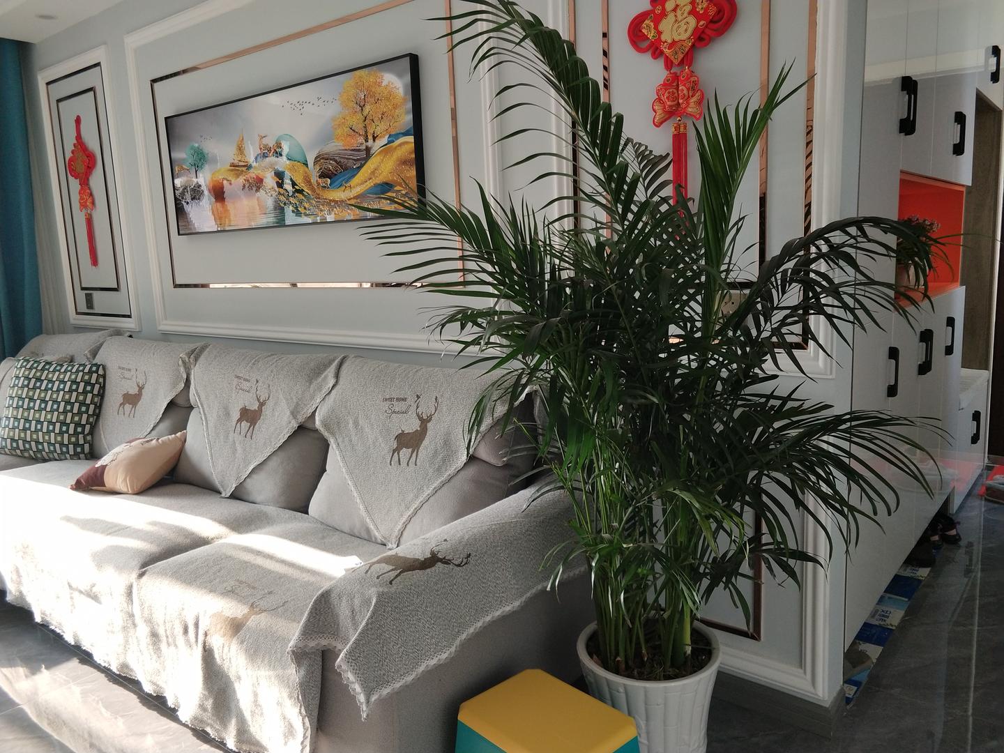 v2-5711222f849da62d2db6ef059d0d91ec_1440w.jpg?source=172ae18b