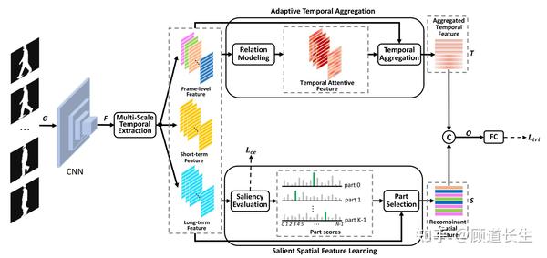 Iccv 21 用于步态识别的上下文敏感时间特征学习 三 知乎