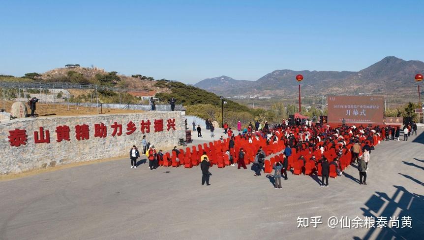 泰安黃精產業助力鄉村振興譜新篇