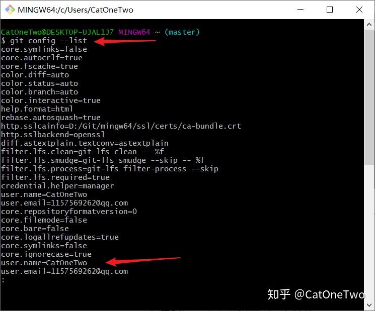 GitHub 小白入门(三)Git 的安装及使用19 GitHub 小白入门(三)Git 的安装及使用