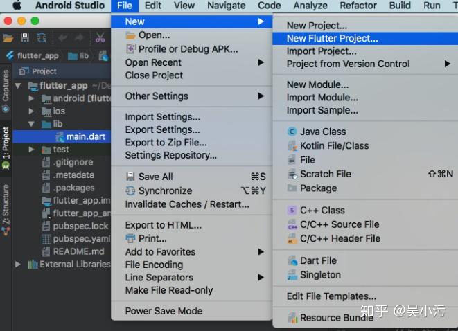 mac系统 flutter从安装到第一个应用 mac系统 flutter从安装到第一个应用