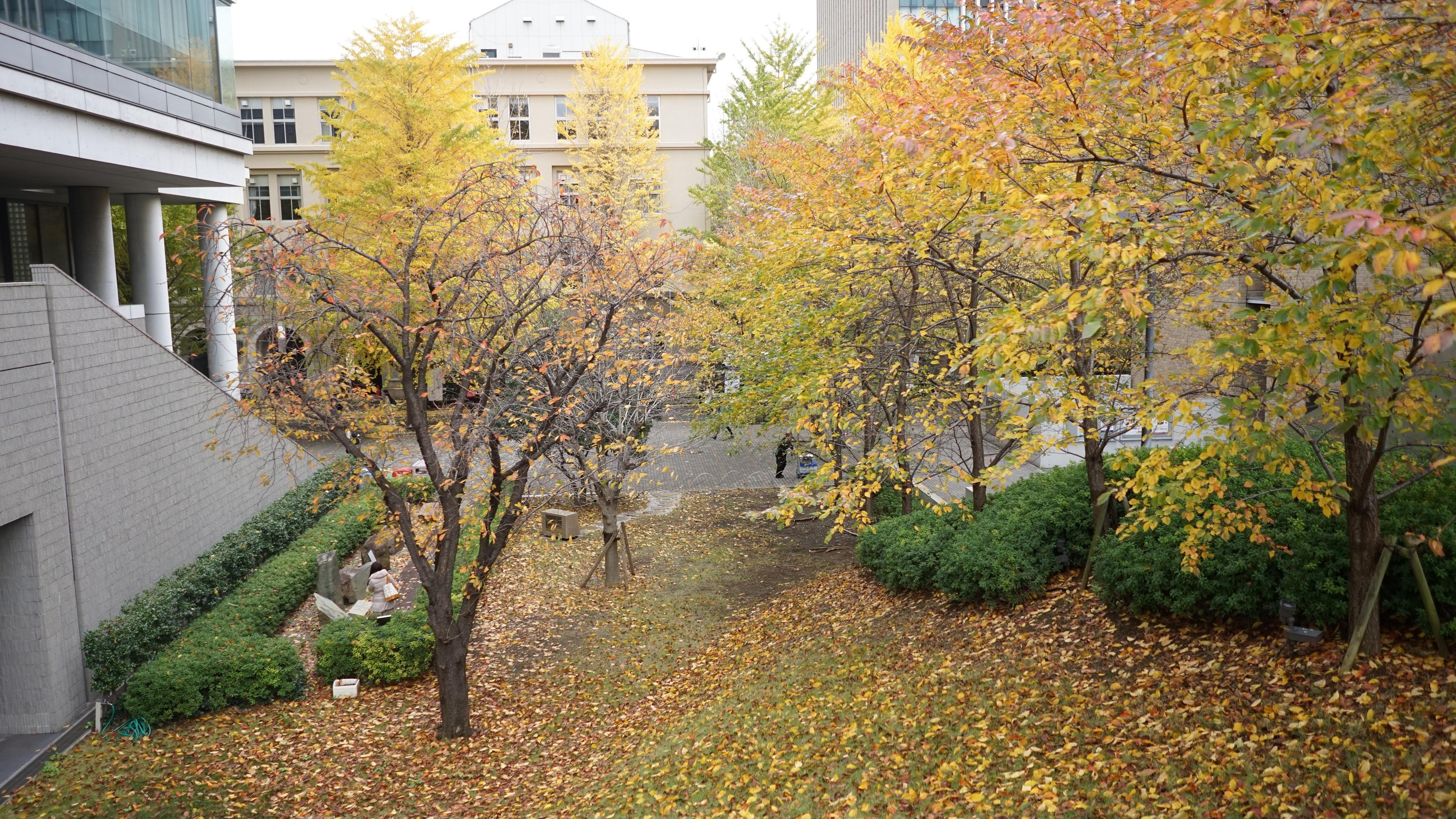 日本名校图鉴——东京大学、庆应大学与早稻田大学 - 知乎