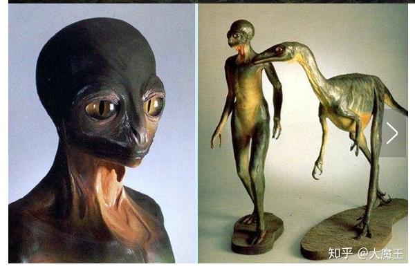 如果一开始地球上没有人类,哪种动物最可能发展出文明?