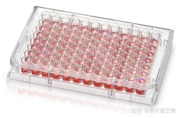 总结:如何选择适合实验的微孔板? - 知乎