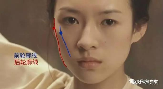 颧骨审美丨优秀的颧骨形状及骨肉比例是怎么长的