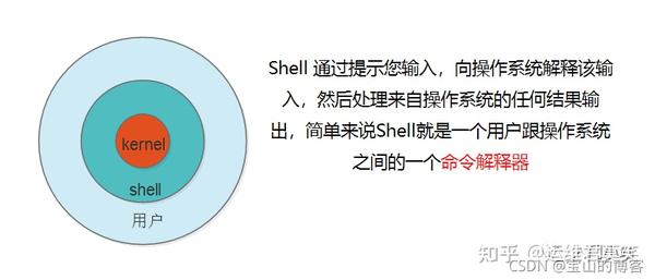 Linux Shell 脚本入门到实战详解 知乎