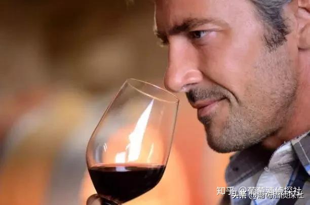闻香识酒丨教你如何训练自己的鼻子正确描述葡萄酒的香气