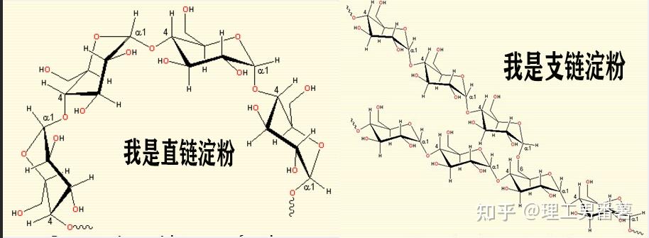 淀粉 分子结构图片