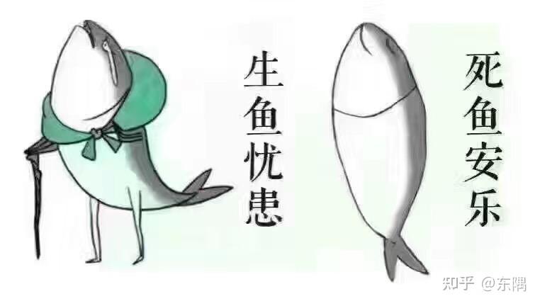 《大脑的力量》——饥饿对大脑的影响 知乎 