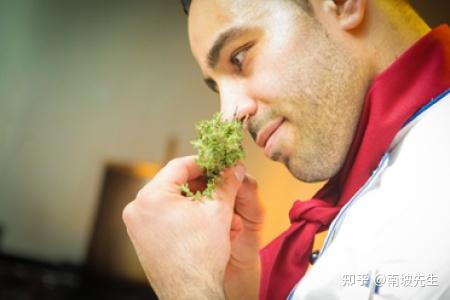 从气味到行动——气味如何在大脑中处理并影响行为 - 知乎