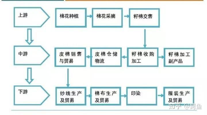 棉花的产业链3鸡蛋的成本主要来源于饲料的成本,饲料的原材料主要是