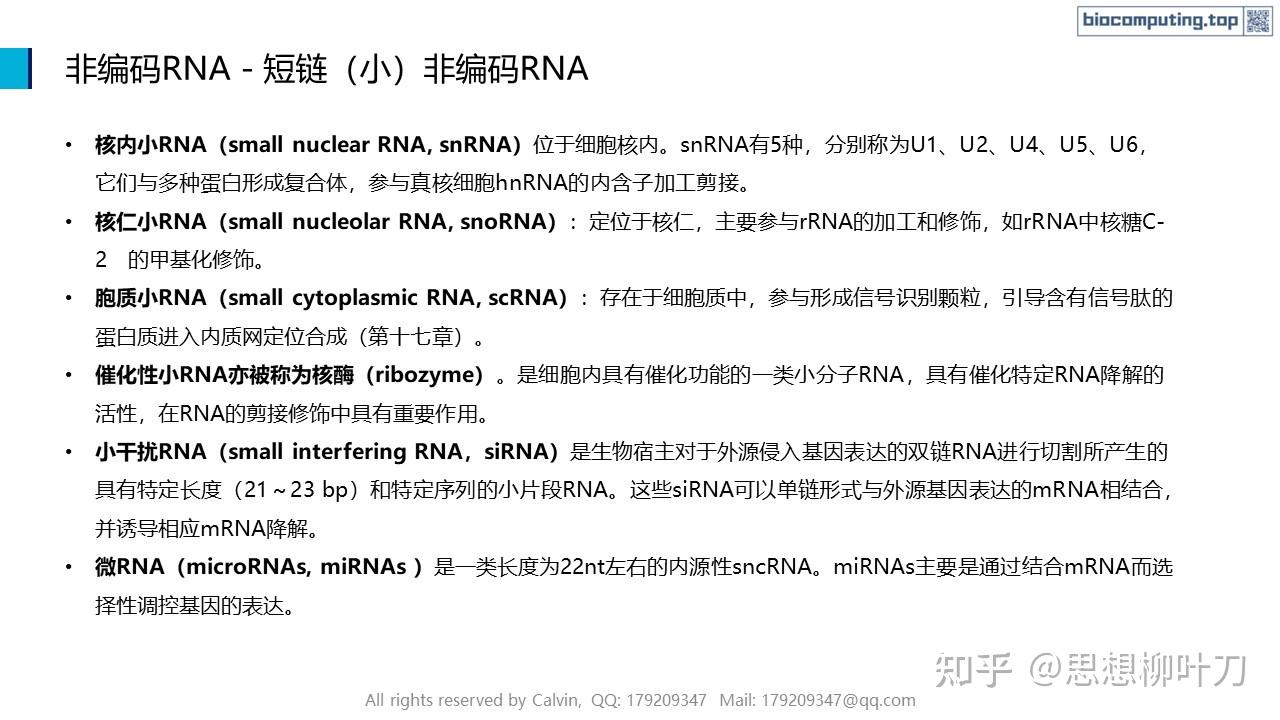 AI+生物计算基础 - 4. RNA的结构与功能 - 知乎