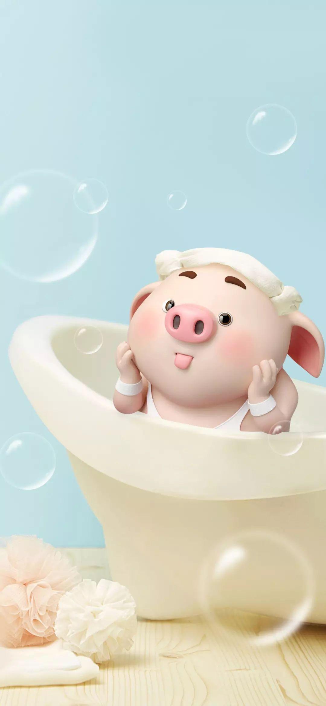 hi维修 | 2019年生肖萌猪壁纸,萌到犯规~ - 知乎