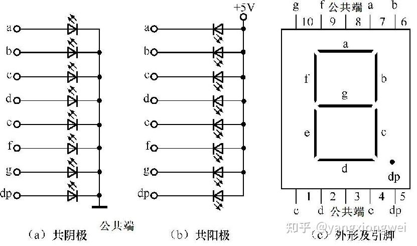 c51单片机笔记(静态数码管显示) 