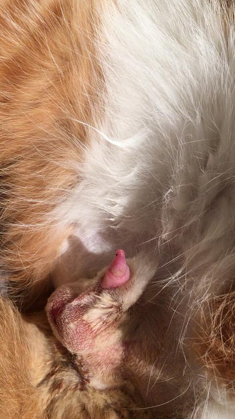 赞同了回答2019-03-10 13:17水门还是上忍的时候,以一己之力在短暂的