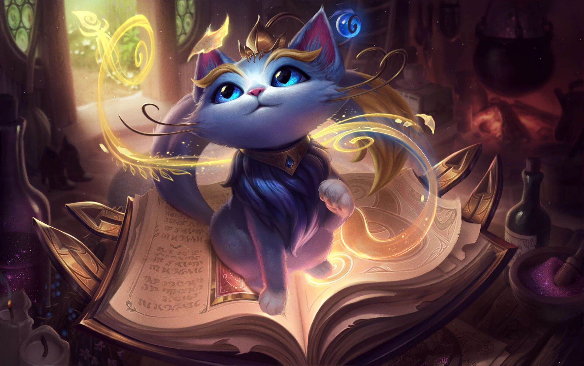 魔法猫咪悠米贪玩的猫咪什么时候想起主人