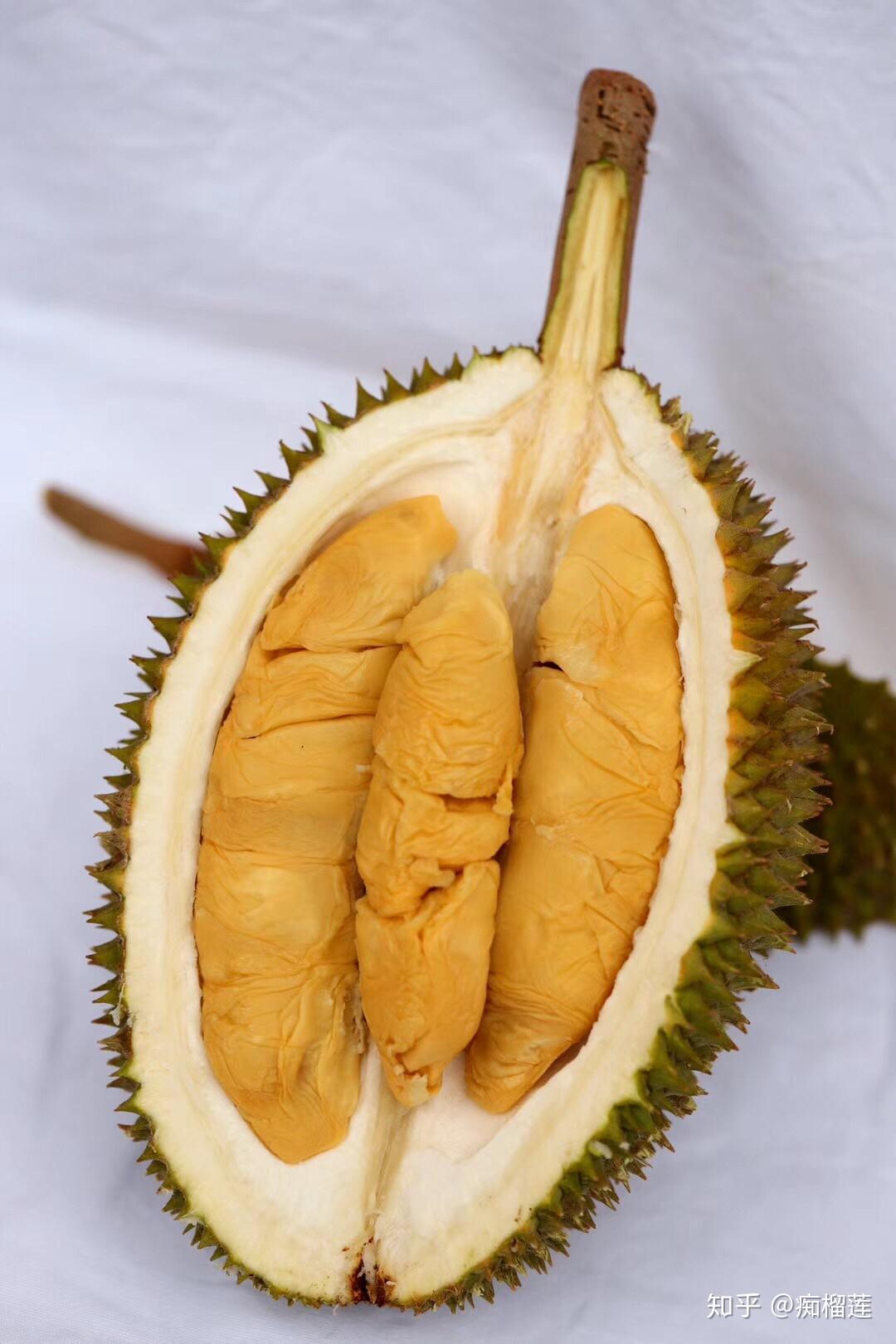 马来西亚d201江海榴莲