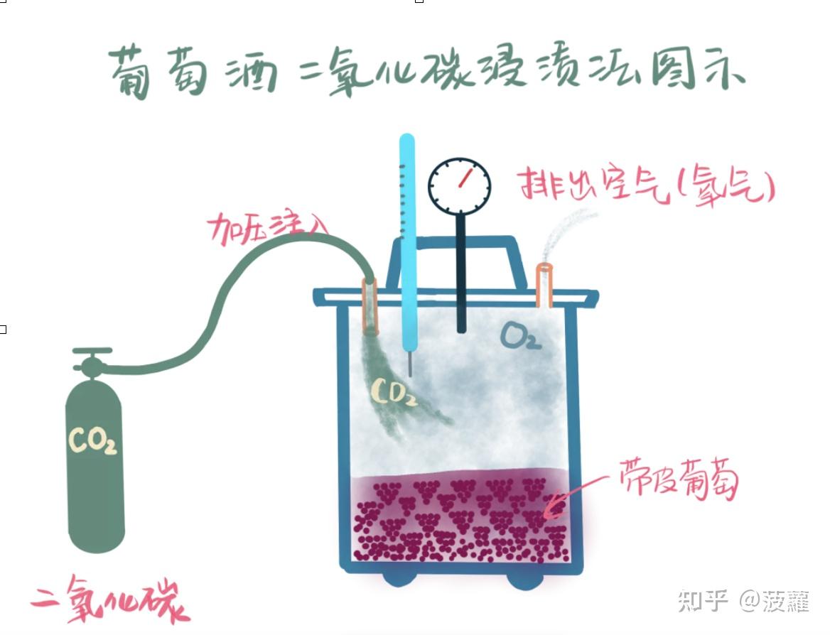 咖啡处理法二氧化碳浸渍法及厌氧处理法