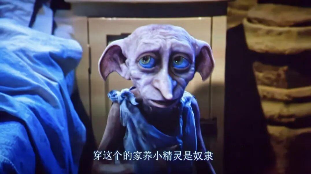 《哈利波特》中家养小精灵这么强,为什么甘愿当仆人? - 知乎