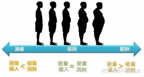 五大减肥失败的原因,胖子全中。 - 知乎