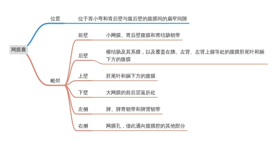 小白医学生笔记9局部解剖学打油诗思维导图