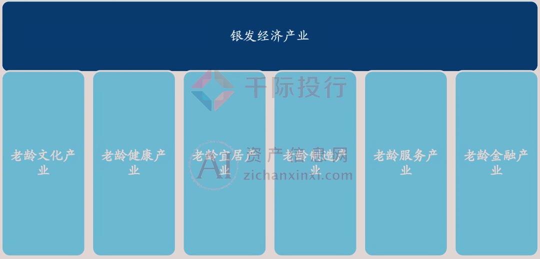 2024年中国银发经济研究报告
