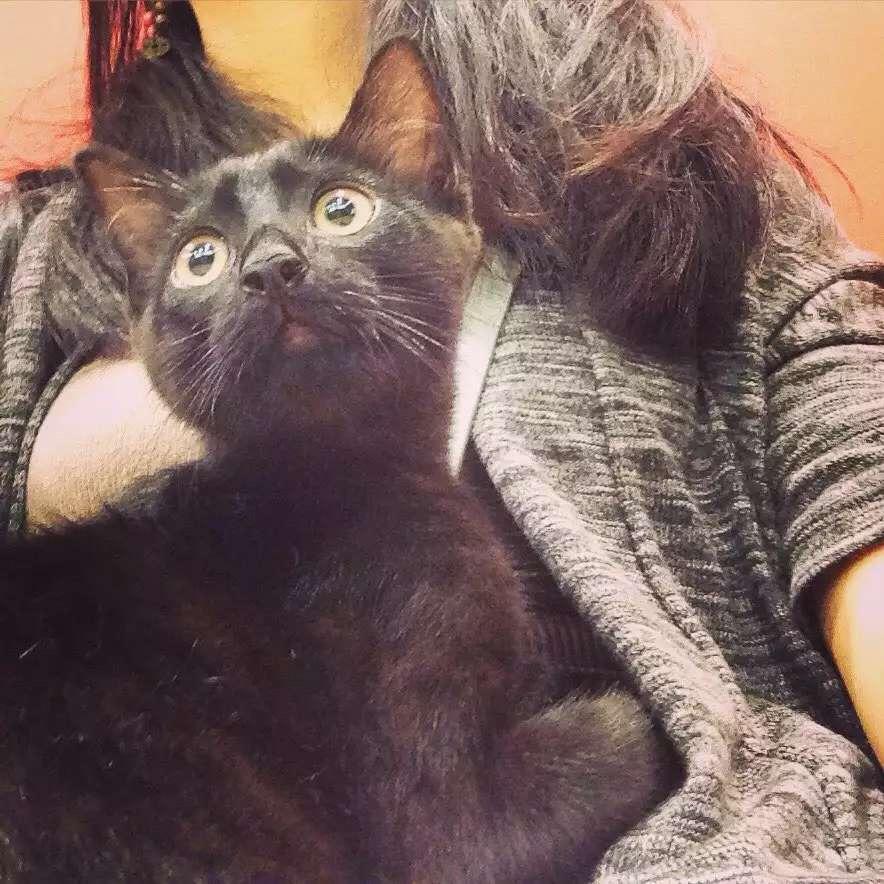 在冷门国家留学是一种什么体验? - 留学欧洲