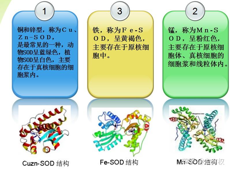 SOD生物活性取决于金属离子 - 知乎