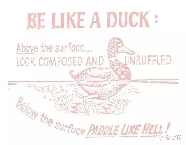 水下的脚掌却拼命蹬水:激烈竞争下产生的斯坦福狂鸭症(stanford duck