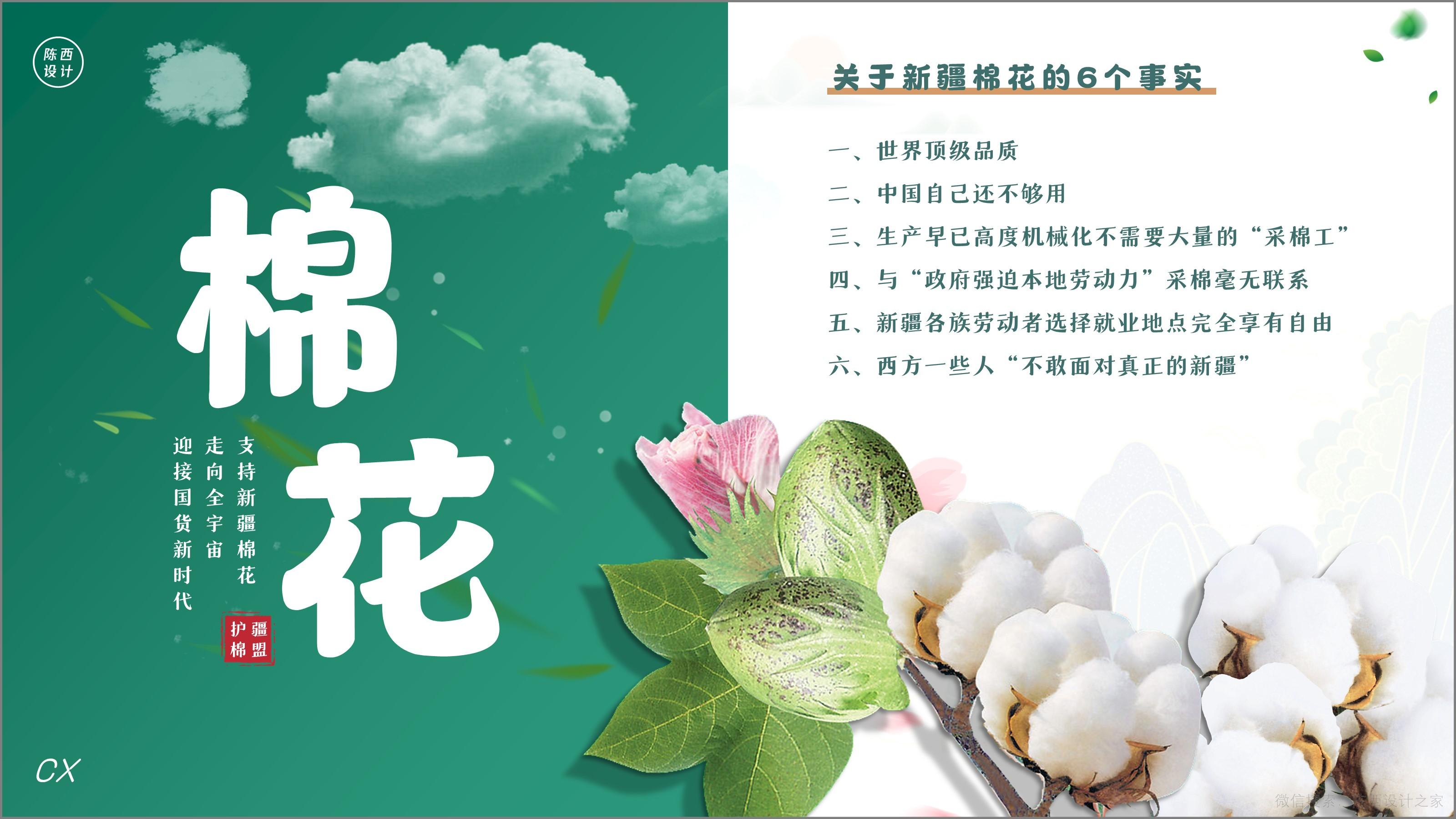 挑战给新疆棉花做一份ppt