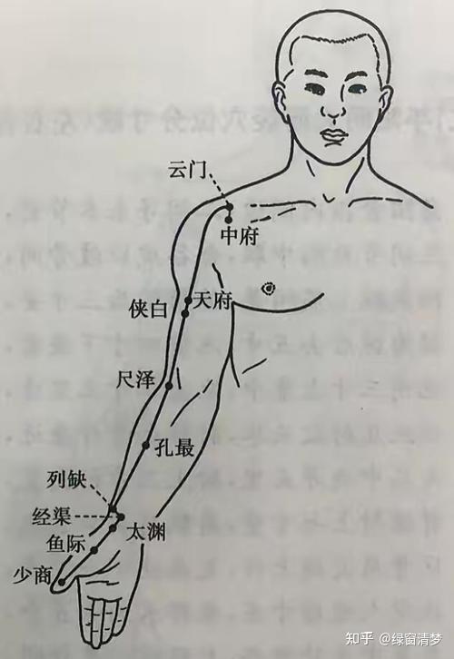 倪海厦针灸课笔记(10)— 手太阴肺经诸穴 - 知乎