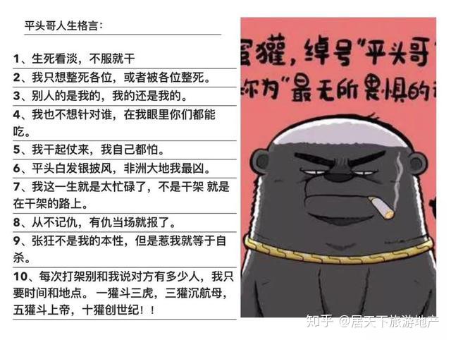 为啥平头哥会这么火?