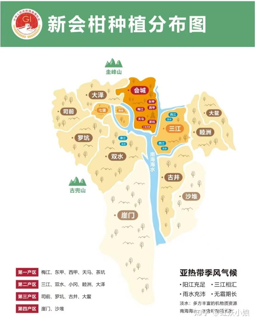 新会陈皮是智商税吗?新会陈皮和普通陈皮有什么区别?2026年正宗新会陈皮品牌推荐