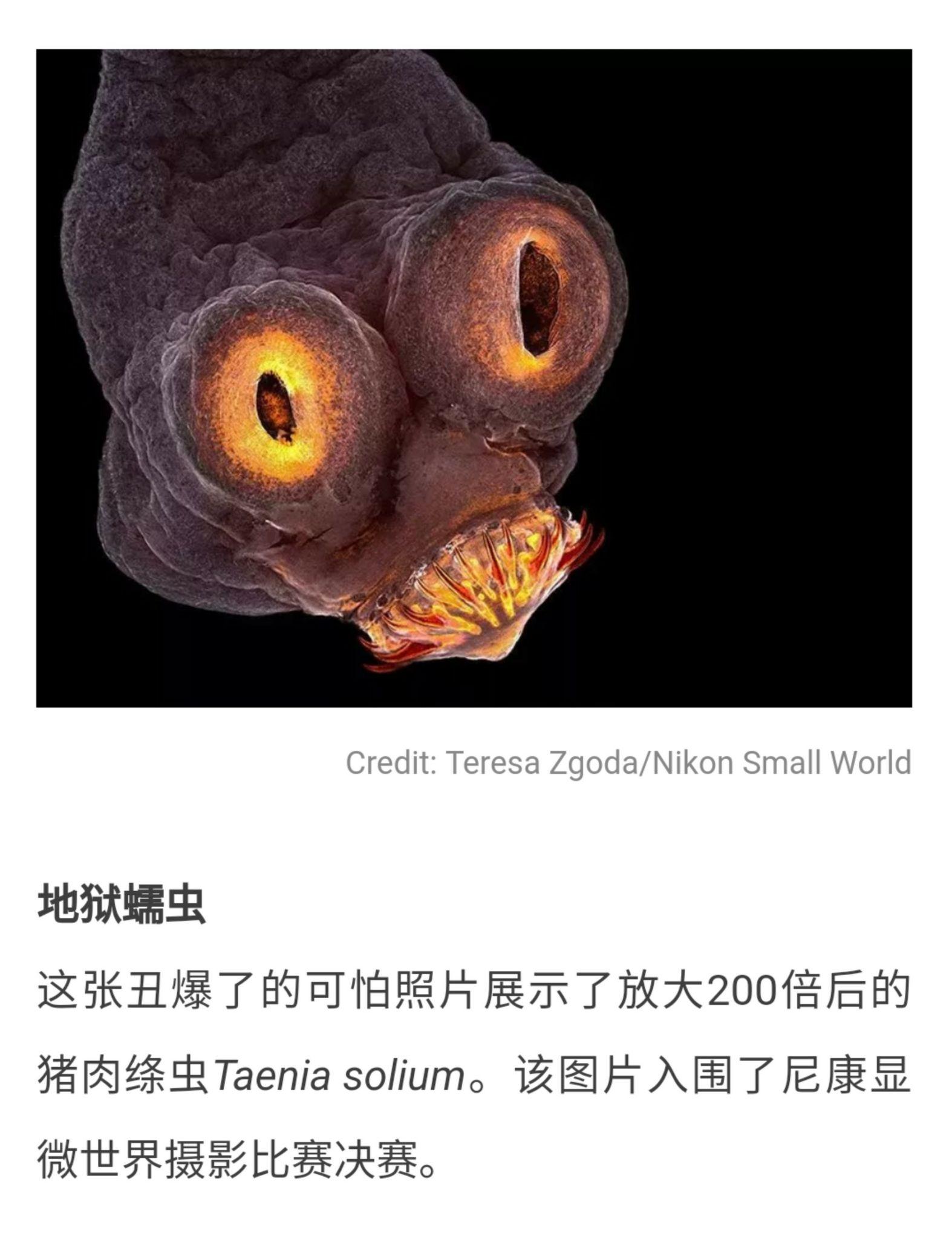 若歹徒当面强奸女友我该如何应对