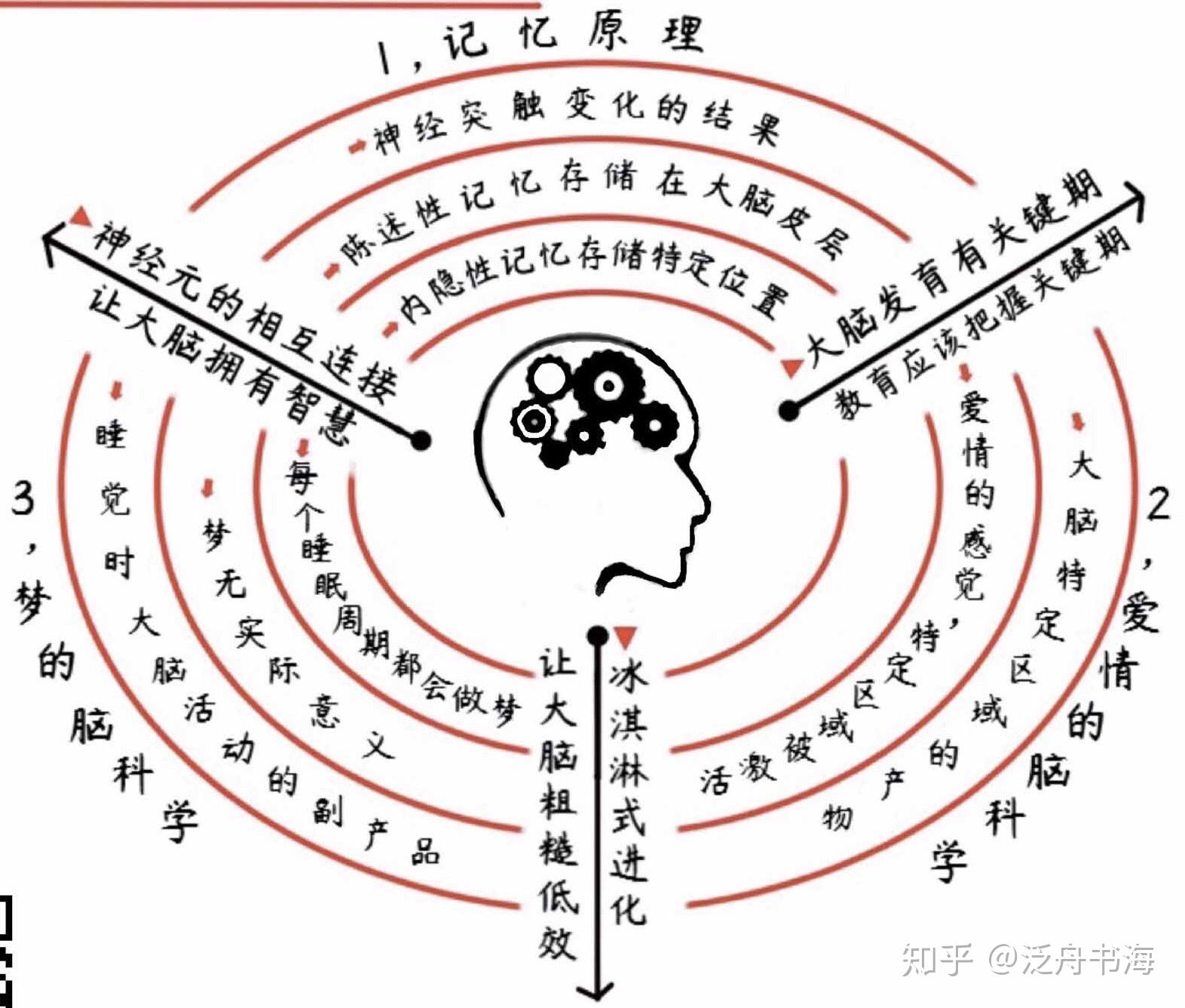 人类进化思维导图高清图片