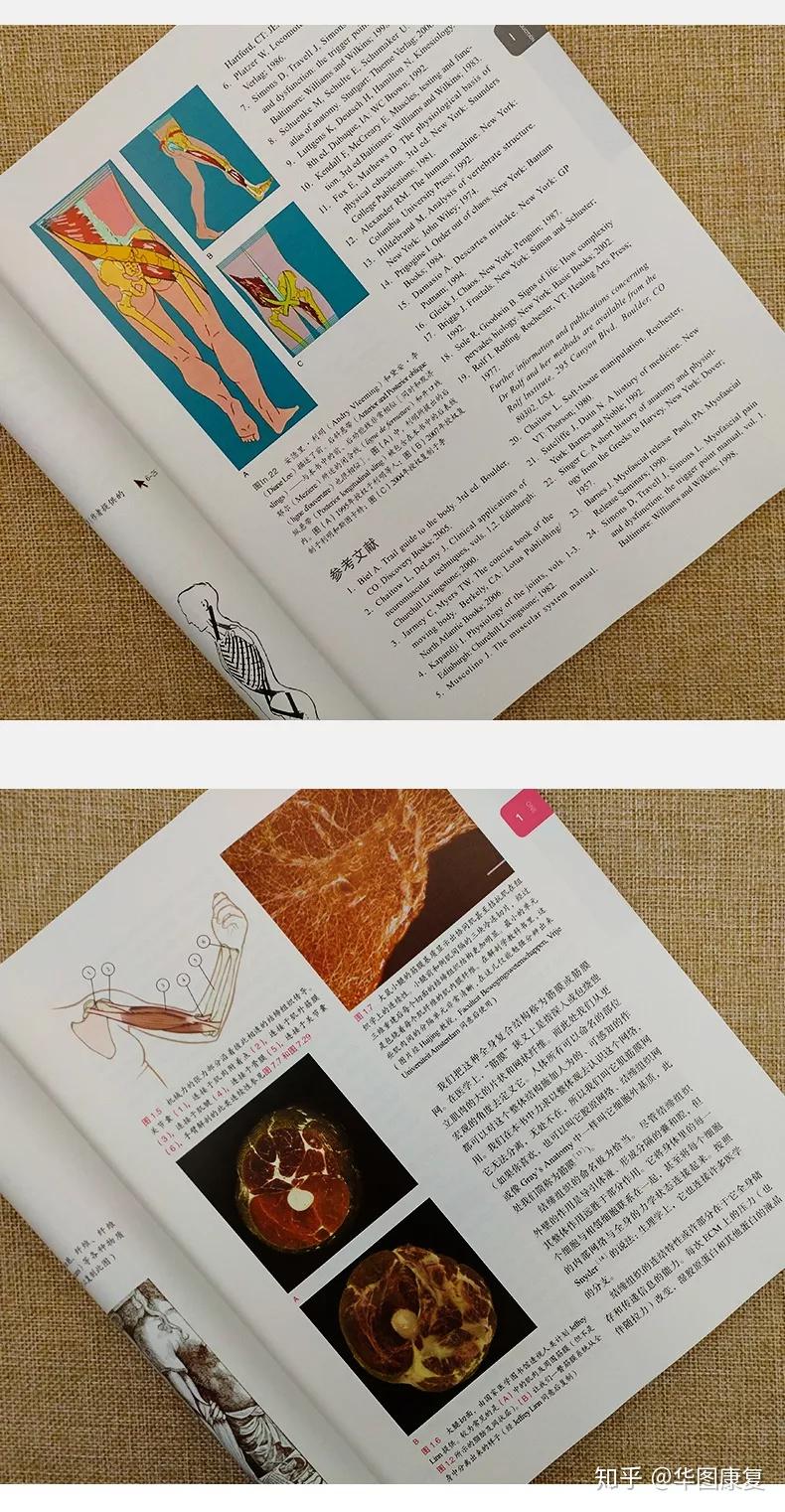 解剖列车 - 知乎