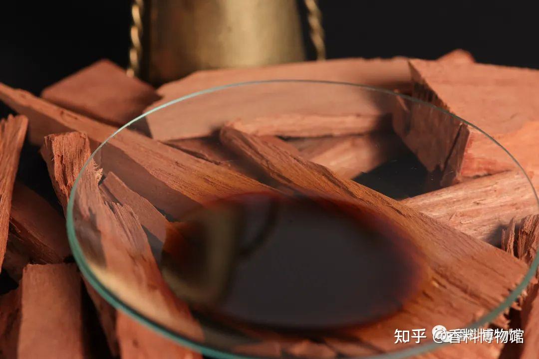 美洲恩物香脂木豆吐鲁香脂秘鲁香脂