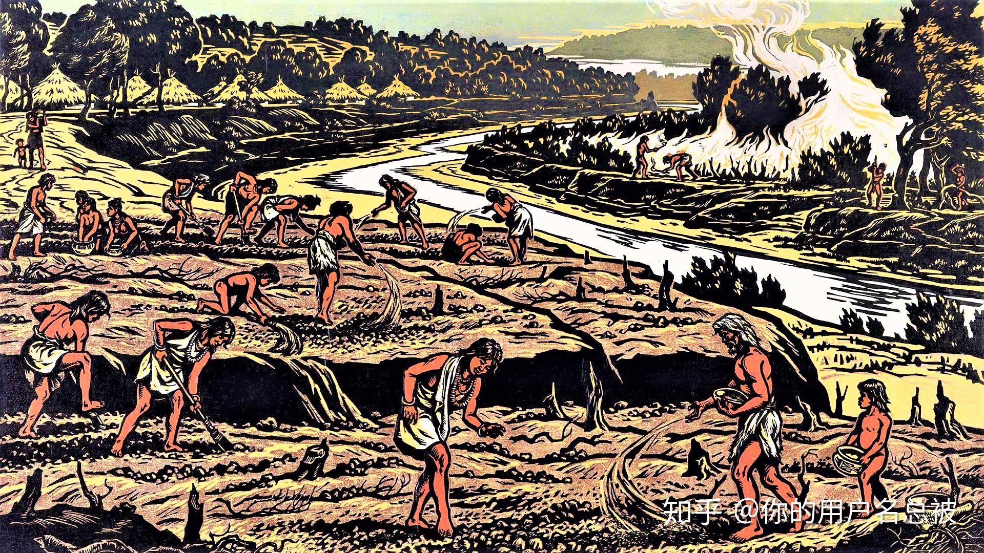 随着农业效率的不断提高,文明开始了