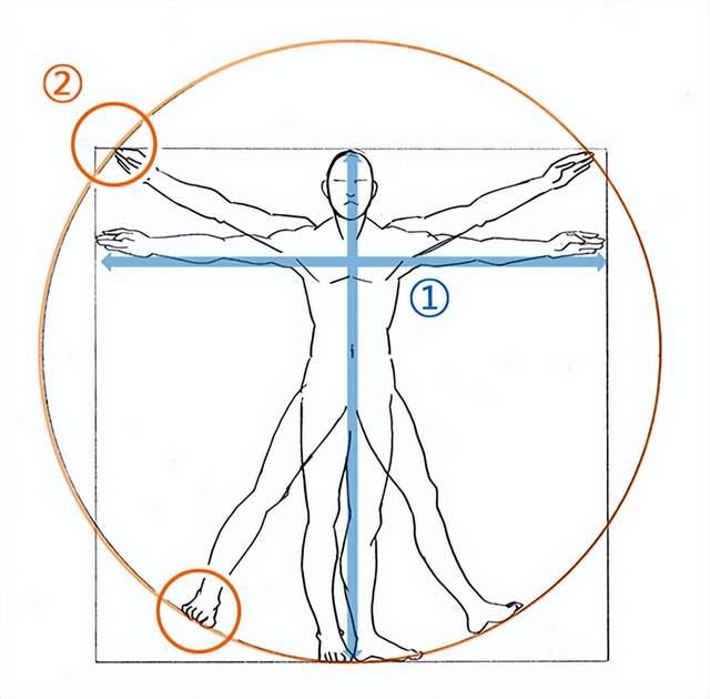 零基础入门人体画法要点教学!