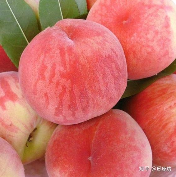 桃子季,来一个时下热门桃子测评,吃桃入门指南 知乎