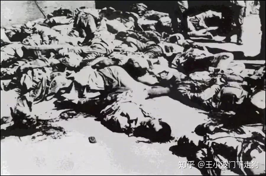 她让全世界看见"南京大屠杀":张纯如自杀的第16年,你还记得她吗