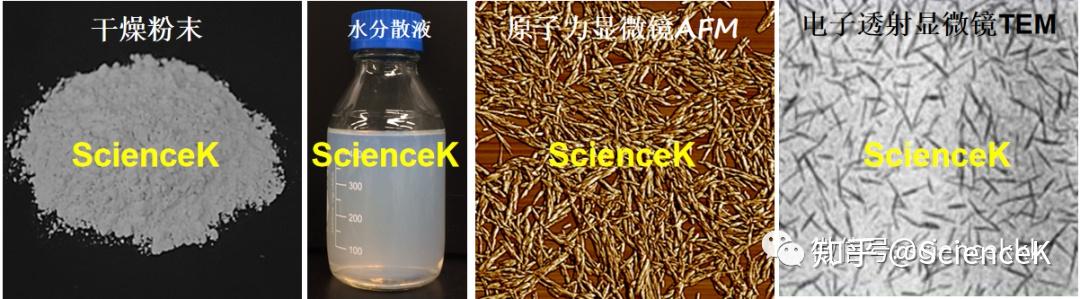 闪思科技 ScienceK - 知乎