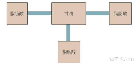 脂肪的结构简式图片